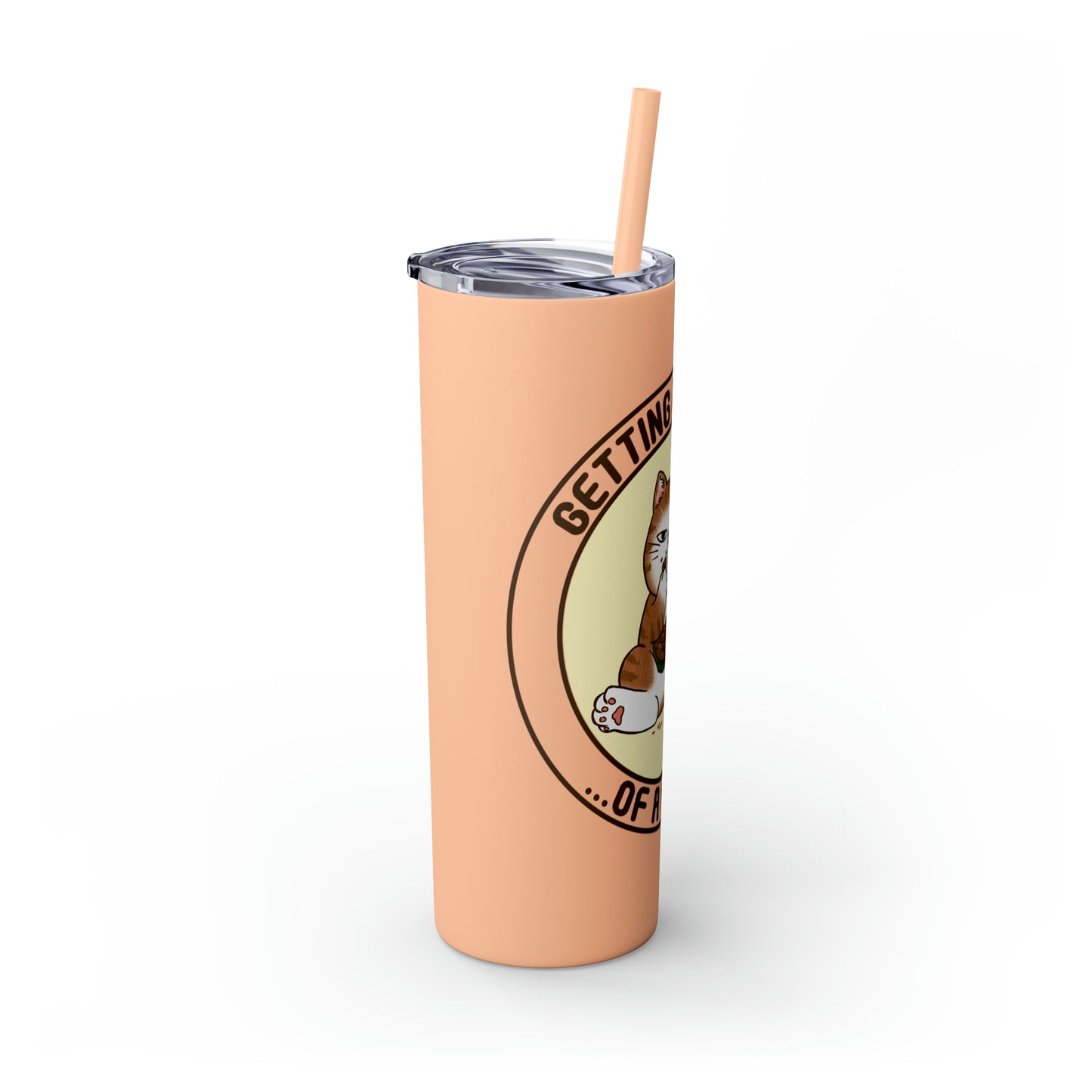 In Shape - Skinny Tumbler with Straw, 20oz