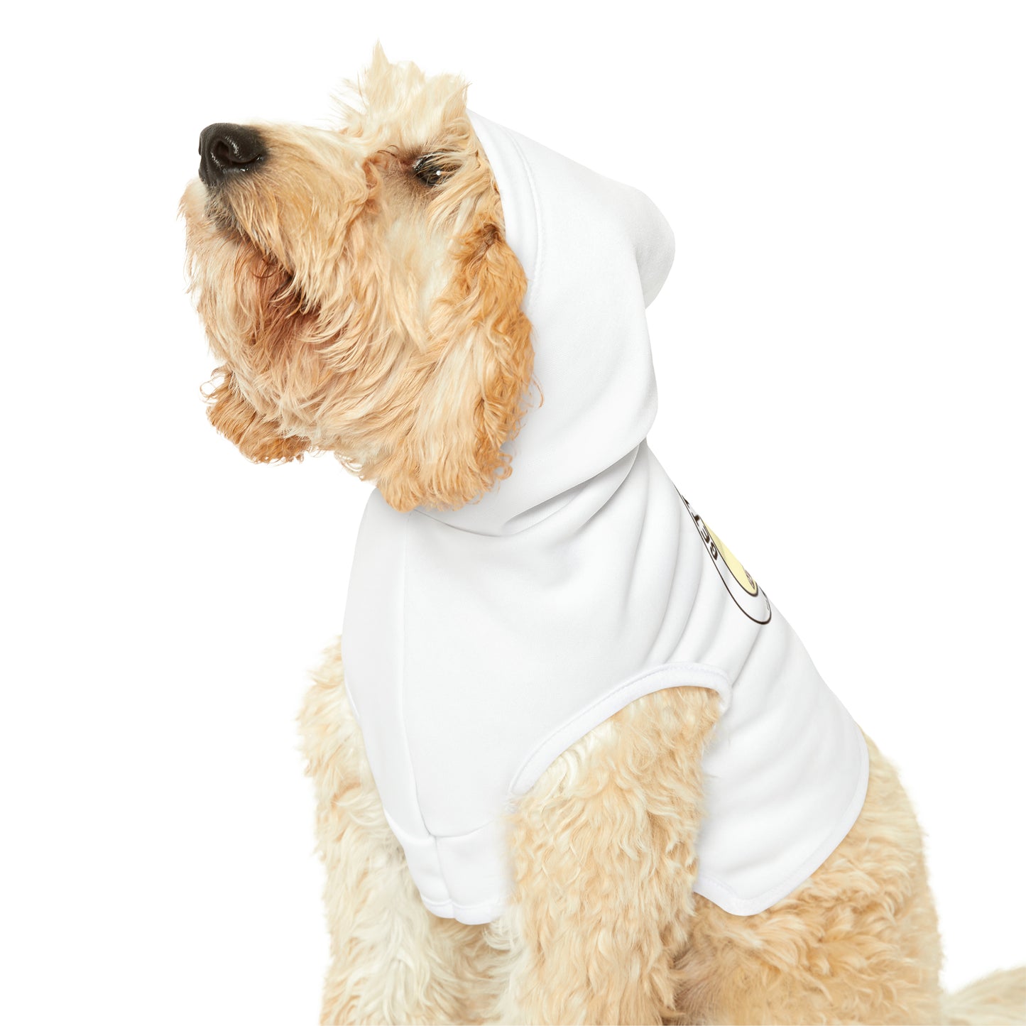 In Shape - Pet Hoodie