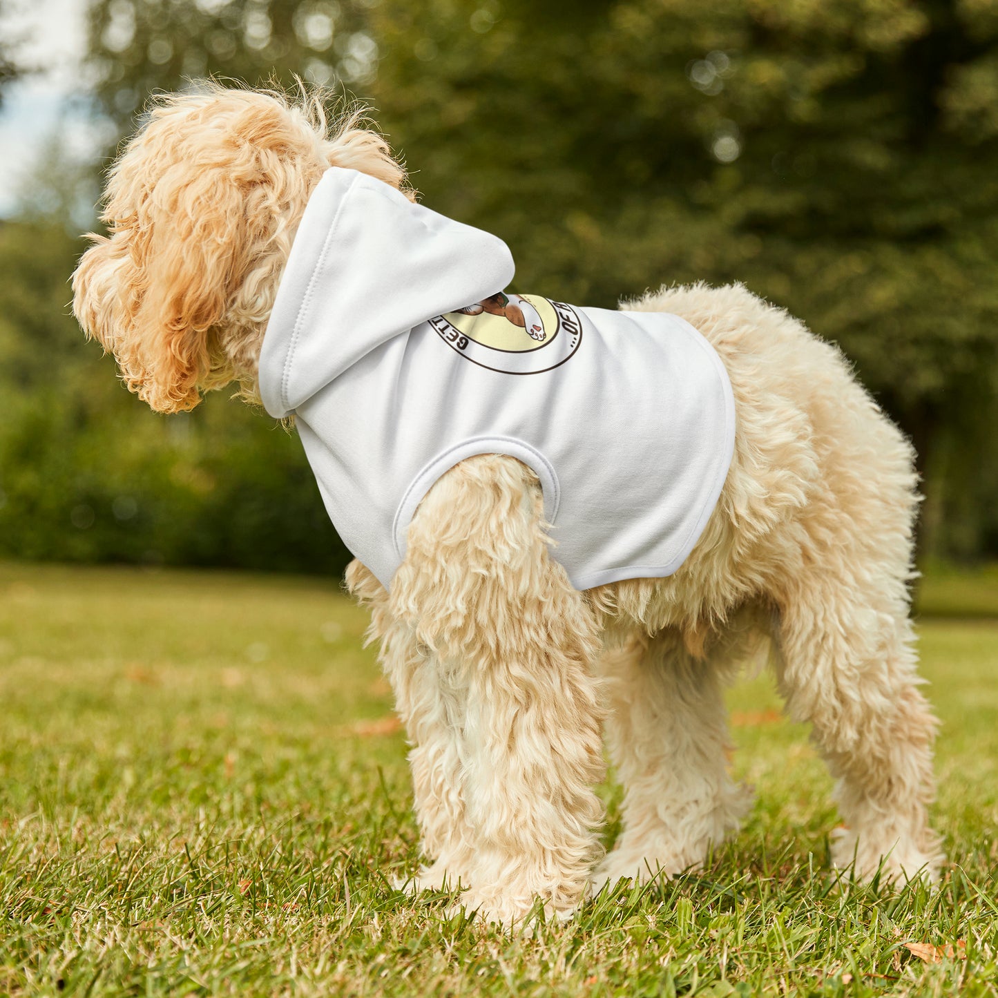 In Shape - Pet Hoodie