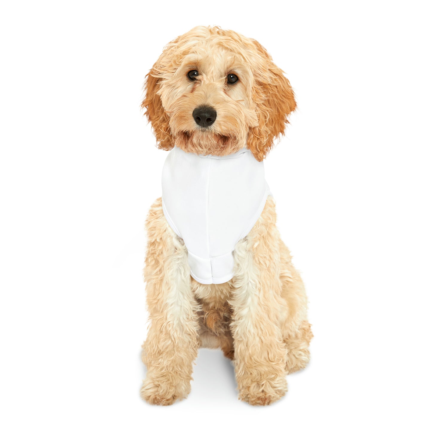 In Shape - Pet Hoodie