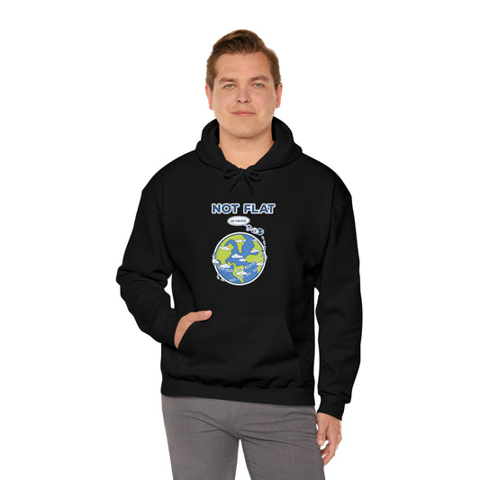 Flat Earth - Unisex Heavy Blend™ Hooded Sweatshirt