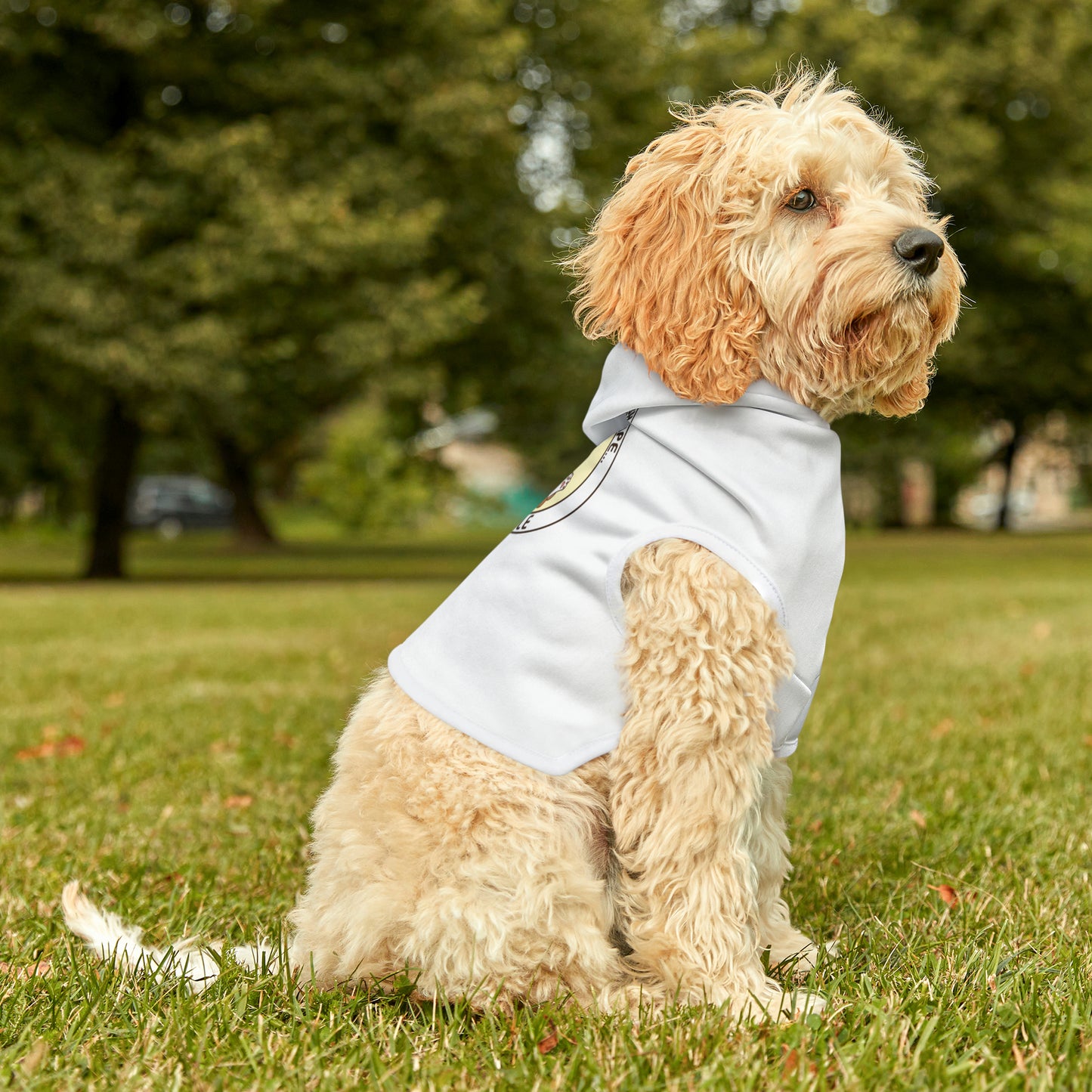 In Shape - Pet Hoodie