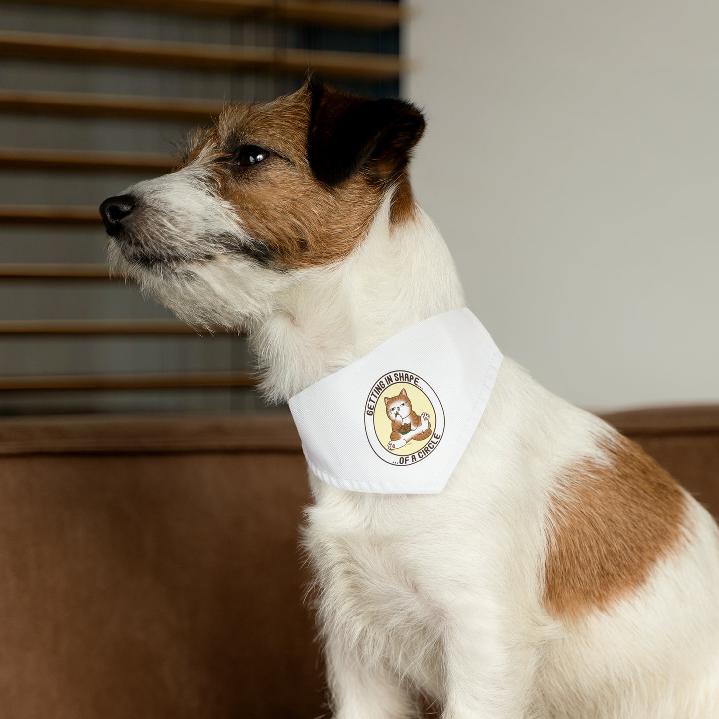 In Shape - Pet Bandana Collar