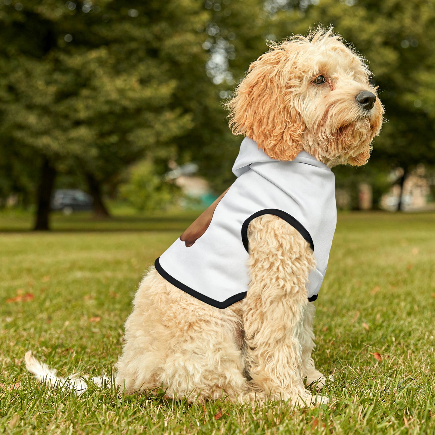 Pug - Pet Hoodie